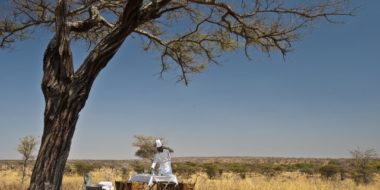 Tarangire Treetops, Mittagessen in der Wildnis